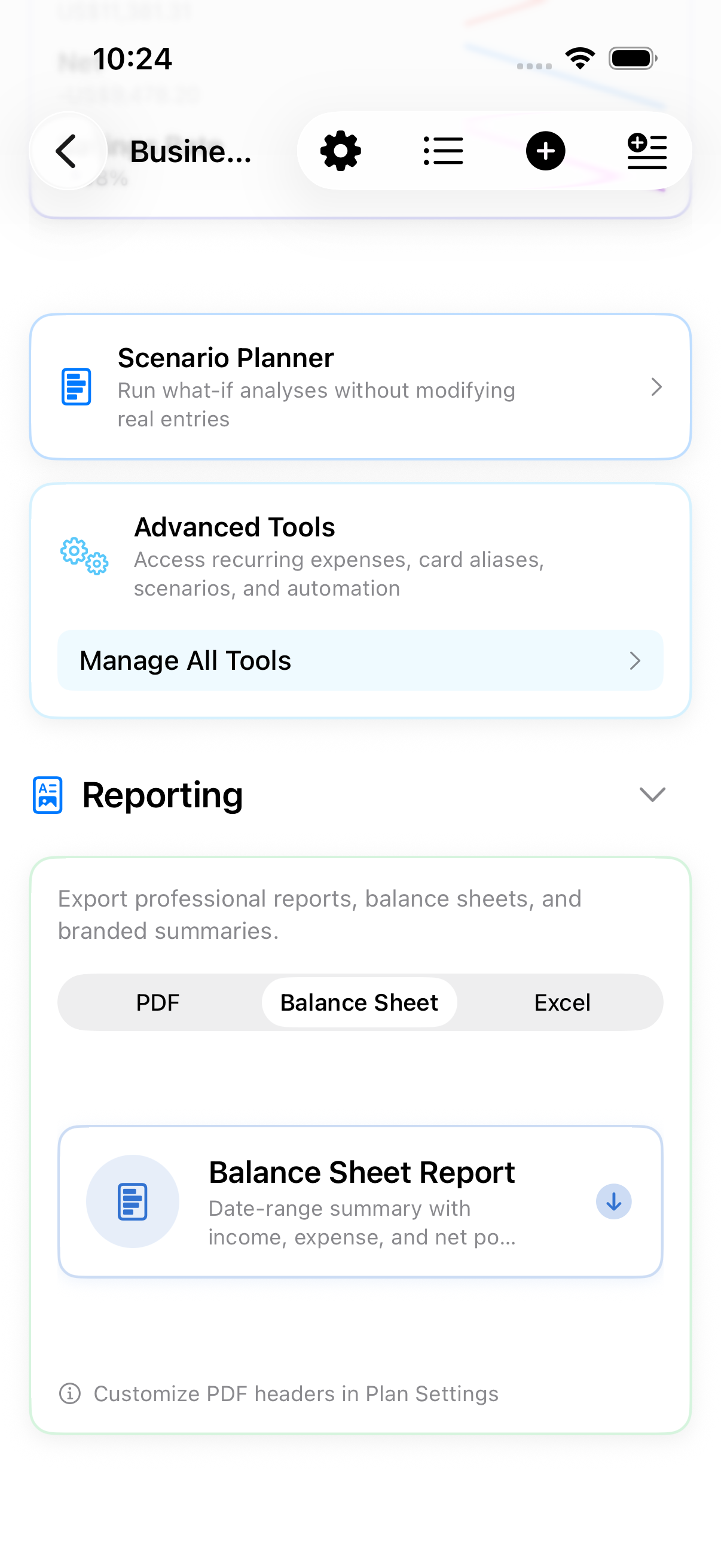 Balance sheet summary view